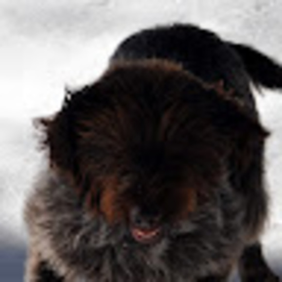 Meet your Posher, Evelyn - Picture 1 of 1